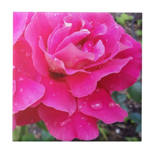 Regen auf Blättern Fliese (Vorderseite)