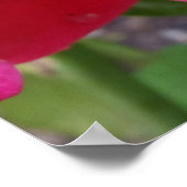 Regen auf Blättern Poster (Ecke)