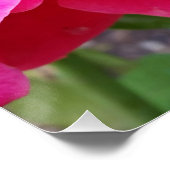 Regen auf Blättern Poster (Ecke)