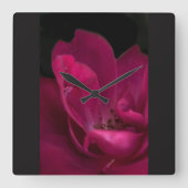 Regen auf der Rose Quadratische Wanduhr (Vorderseite)