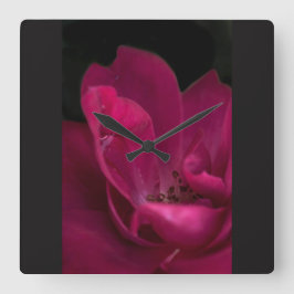 Regen auf der Rose Quadratische Wanduhr