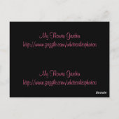 Regen auf Geraniums Lesezeichen Postkarte (Rückseite)