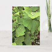 Regen auf Gingko Karte (Vorderseite)