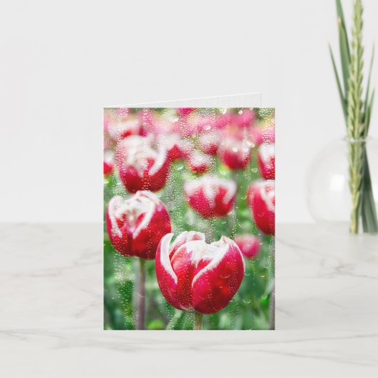Regen auf Glas und Rote Tulpen Karte (Vorderseite)