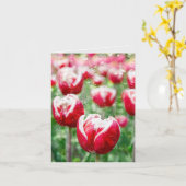 Regen auf Glas und Rote Tulpen Karte (Gelbe Blume)