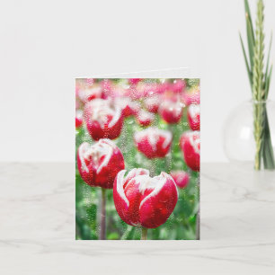 Regen auf Glas und Rote Tulpen Karte