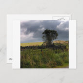 Regen bald postkarte (Vorne/Hinten)