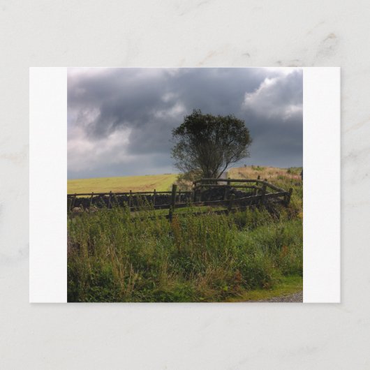 Regen bald postkarte (Vorderseite)