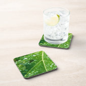 Regen fällt auf grünem Papayaeilef Getränkeuntersetzer (Rechte Seite)