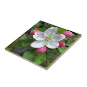 Regen fällt bei geringer Blume Fliese (Seite)