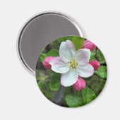Regen fällt bei geringer Blume Magnet (Vorderseite/Rückseite)