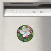Regen fällt bei geringer Blume Magnet (In Situ (Geschirrspüler))