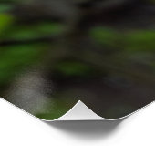 Regen fällt bei geringer Blume Poster (Ecke)