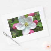 Regen fällt bei geringer Blume Rechteckiger Aufkleber (Umschlag)