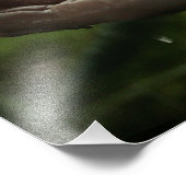 Regen Fotodruck (Ecke)