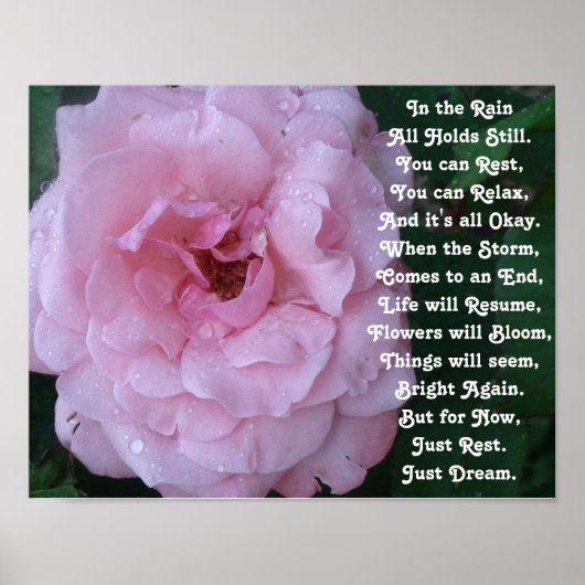 Regen Gedicht auf einer schönen rosa Rose mit Rege Poster (Vorne)