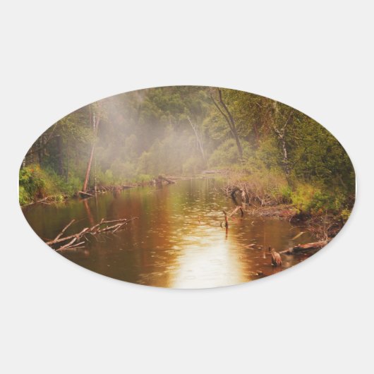 Regen im Wald Ovaler Aufkleber (Vorderseite)
