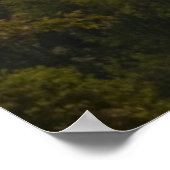 "Regen in den Smoky Mountains" Poster (Ecke)