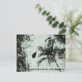 Regen in Florida Postkarte (Stehend Vorderseite)