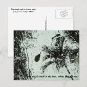 Regen in Florida Postkarte (Vorne/Hinten)