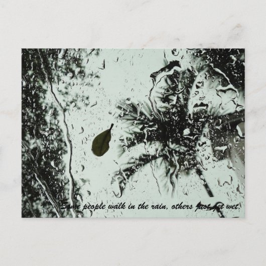 Regen in Florida Postkarte (Vorderseite)