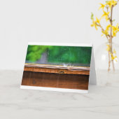 Regen, Karte (Gelbe Blume)