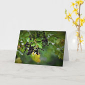 Regen, Karte (Gelbe Blume)