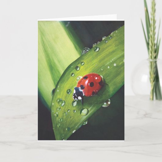 Regen nach der gemähten Gras-Karte Karte (Vorderseite)