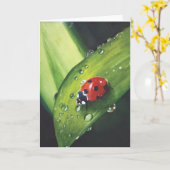 Regen nach der gemähten Gras-Karte Karte (Gelbe Blume)