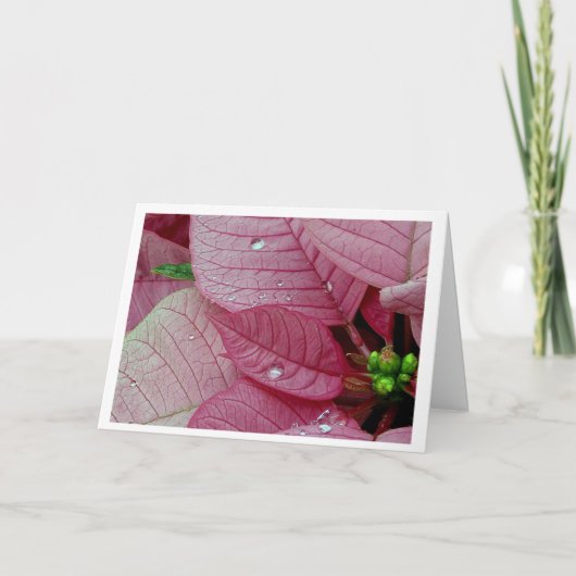 Regen-Tropfen Feiertagskarte (Vorderseite)