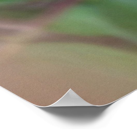 Regen über Blätter Poster (Ecke)