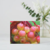 Regen und Berries Postkarte (Stehend Vorderseite)