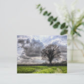 Regen Wolken im Frühjahr HDR. Postkarte (Stehend Vorderseite)
