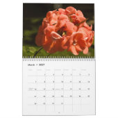 Regenbogen 2014 der Blumen Kalender (Mär 2027)