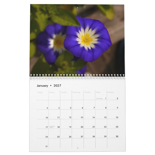 Regenbogen 2014 der Blumen Kalender (Jan 2027)