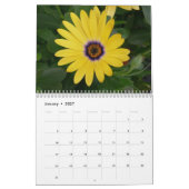 Regenbogen 2017 des Farbkalenders Kalender (Jan 2027)