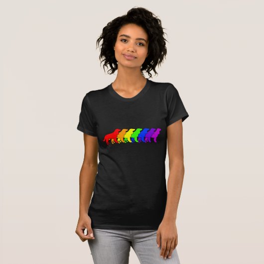 Regenbogen AWS T-Shirt (Vorne ganz)