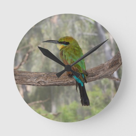 Regenbogen Bieneesser Vogel, Australien Runde Wanduhr (Vorderseite)