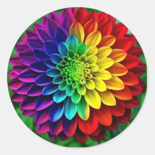 Regenbogen-Blume - farbenfrohe Dahlia Runder Aufkleber