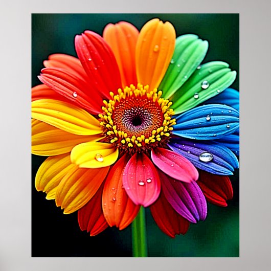 Regenbogen-Blüten-Kunst Poster (Vorne)