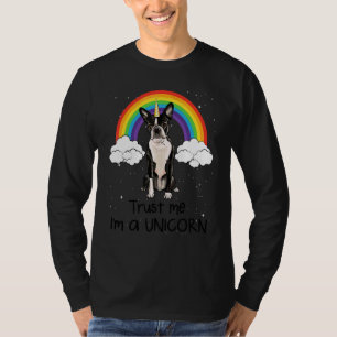 Regenbogen Boston Terrier Traue Mir Ich Bin Ein Ei T-Shirt