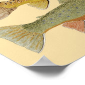 Regenbogen-, Braun- und Bachforelle auf farbigem H Poster (Ecke)