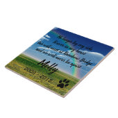 Regenbogen-Brücke Fliese (Seite)