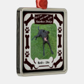 Regenbogen-Brücken-Andenken-Verzierung Silbernes Ornament (Rechts)