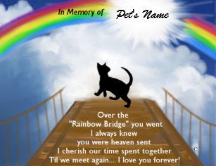 Katzen An Der Regenbogenbrucke Elektronikzubehor Zazzle De