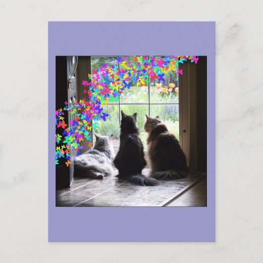 Regenbogen-Brückenkatzen-Beileidpostkarte Postkarte (Vorderseite)