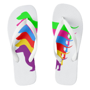 Regenbogen-Dackel drehen Reinfälle um Badesandalen
