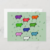 Regenbogen der Schafe Postkarte (Vorne/Hinten)