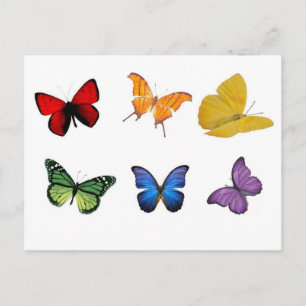 Regenbogen der Schmetterlinge Postkarte