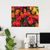 Regenbogen der Tulipen Poster (Heimbüro)